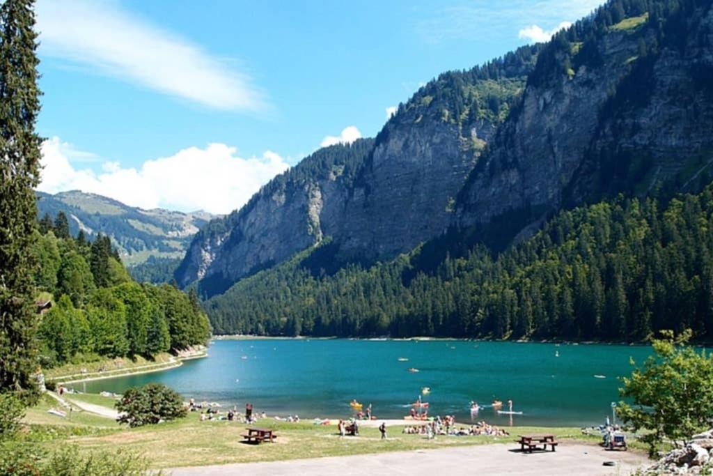 L'Enchalpe, Grand Et Lumineux Studio Avec Coin Montagne 5 Personnes, 60M Des Pistes, Piscine Couverte, Wifi, Grand Balcon Expo Est, Draps Non Compris Saint-Jean-dʼAulps Dış mekan fotoğraf