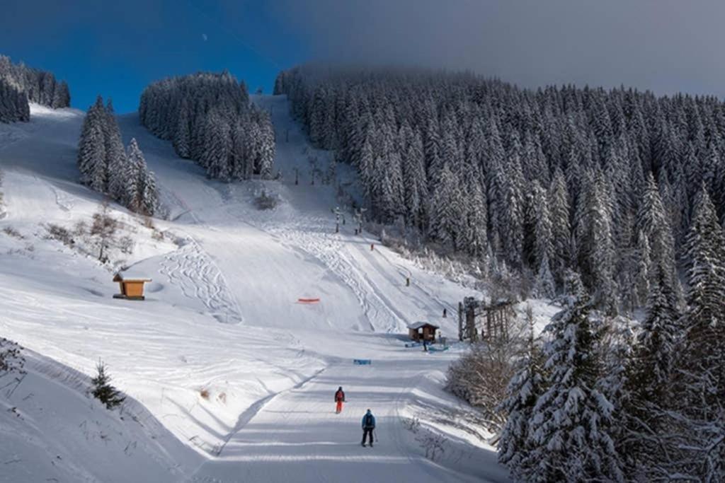 L'Enchalpe, Grand Et Lumineux Studio Avec Coin Montagne 5 Personnes, 60M Des Pistes, Piscine Couverte, Wifi, Grand Balcon Expo Est, Draps Non Compris Saint-Jean-dʼAulps Dış mekan fotoğraf